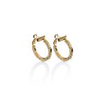 Mesmera 14K Altın Kaplama Halka Küpe resmi